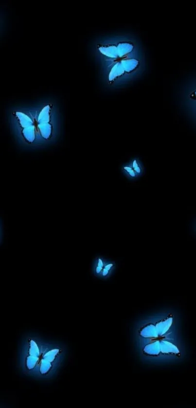 Luminous blue butterflies on a black background wallpaper.