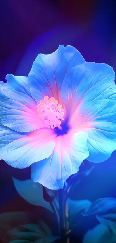 Enchanting luminous blue flower wallpaper with vibrant petal glow.