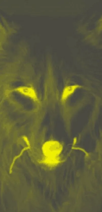 Striking wolf wallpaper with yellow glow.