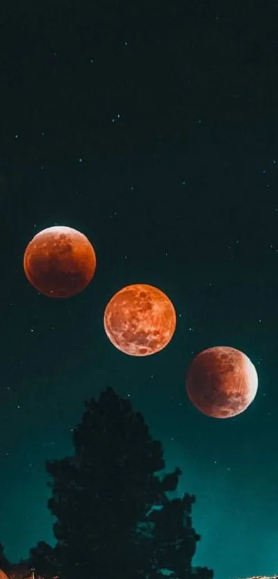 Lunar eclipse phases over a dark forest with stars in the night sky.