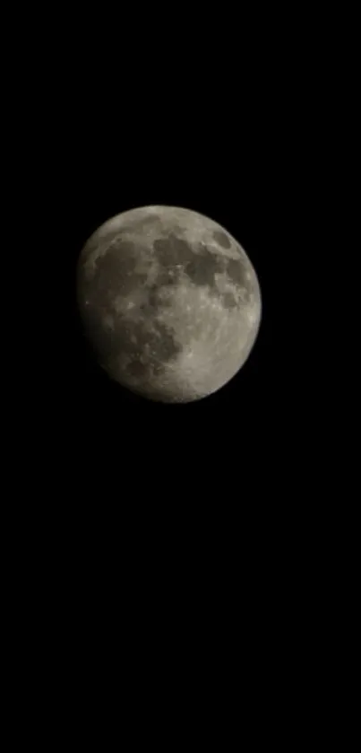 Moon against a dark night sky, capturing celestial beauty.