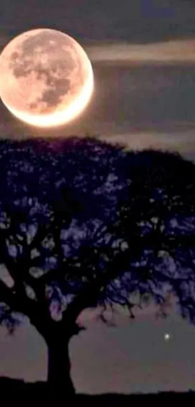 Full moon night with tree silhouette in a serene night sky, showcasing lunar brilliance.