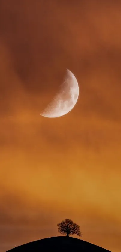 Crescent moon in vibrant orange twilight sky with lone tree silhouette.