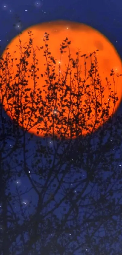 Orange full moon behind silhouetted tree branches.