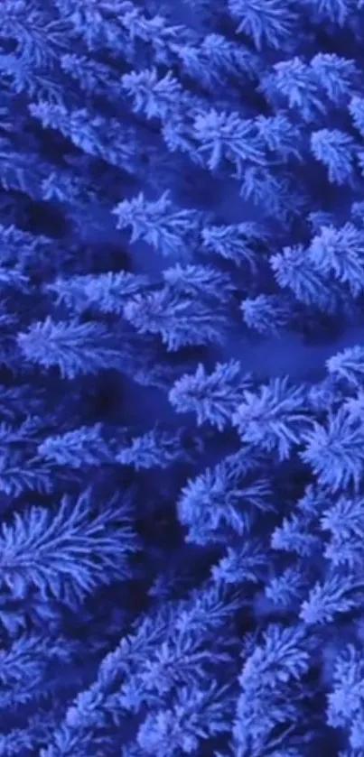 Lush blue frost patterns creating a vibrant phone wallpaper.