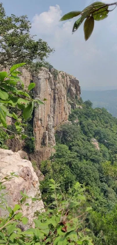 Cliffside view with lush, vibrant greenery.