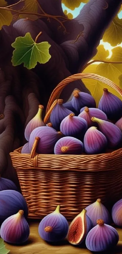 A basket of figs under a large tree.