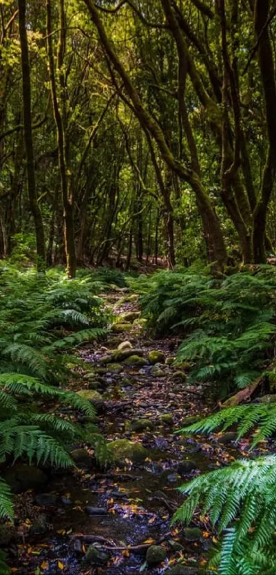 A lush green forest with serene streams flowing through the vibrant landscape.