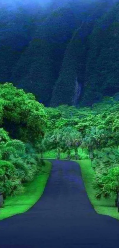 A serene forest path surrounded by lush greenery.