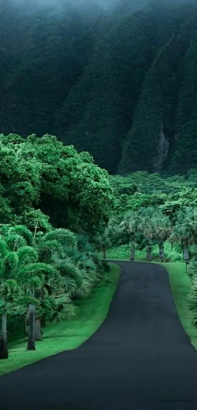 Serene road through lush forest landscape.