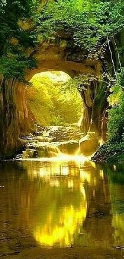 Lush green forest tunnel with reflective water.