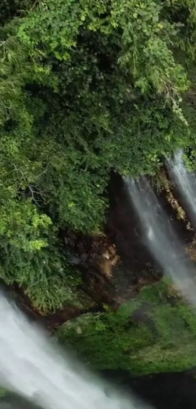 Vibrant green forest with cascading waterfall scenery.