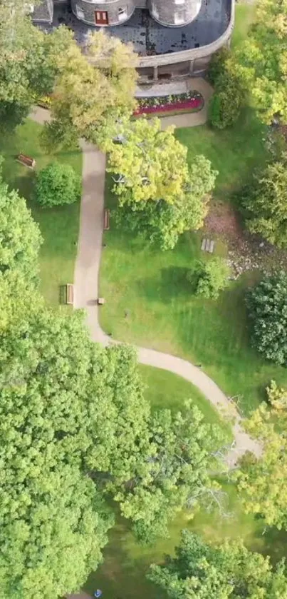 Aerial view of lush green garden with pathways.