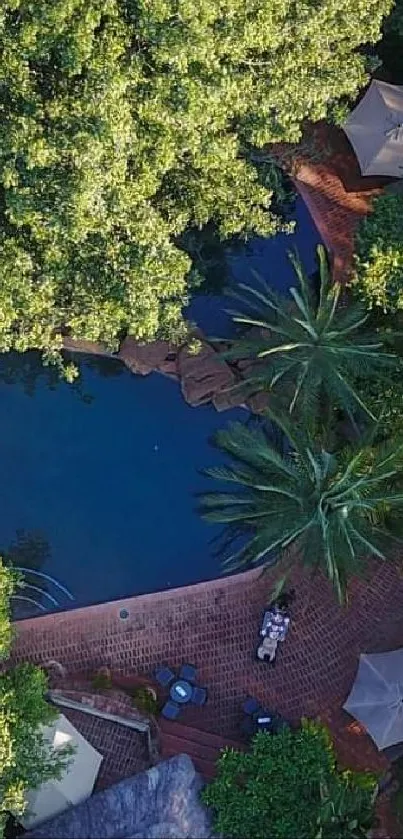 Aerial view of lush green landscape with trees and a serene environment.