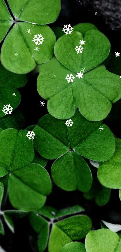 Green clover leaves with white snowflakes wallpaper.