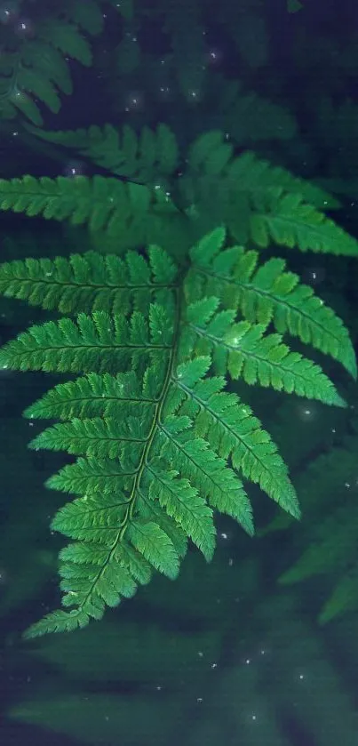 Close-up of vibrant green fern leaves with a lush and serene background.