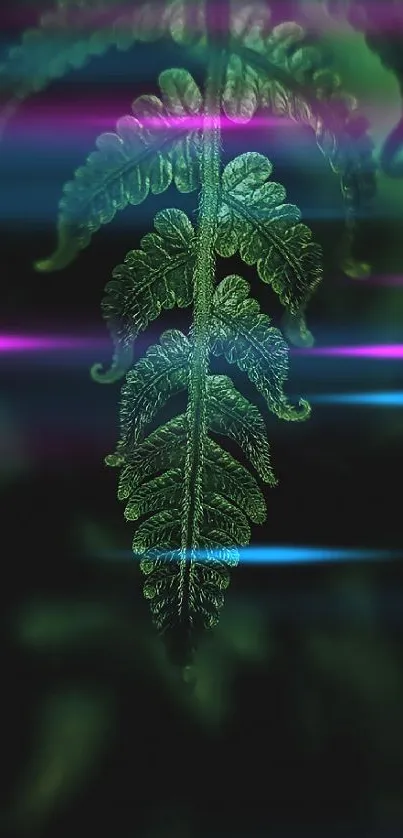 Close-up of a lush green fern leaf on a dark background.