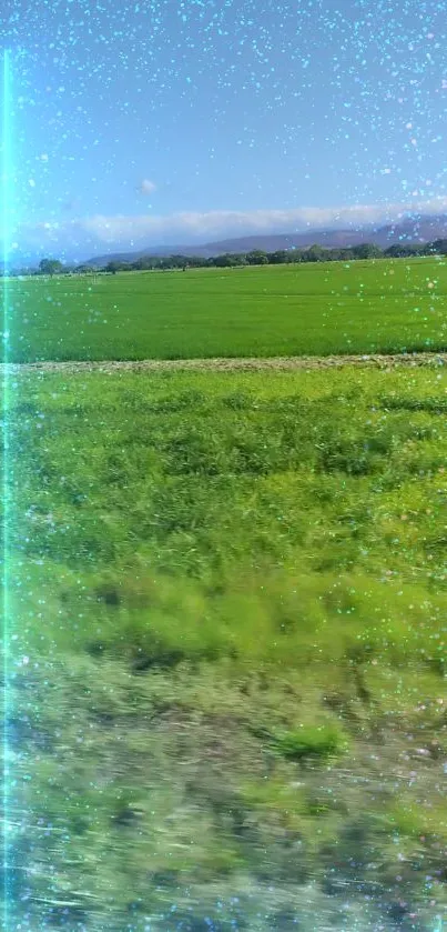 Lush green field with sparkles under a blue sky.