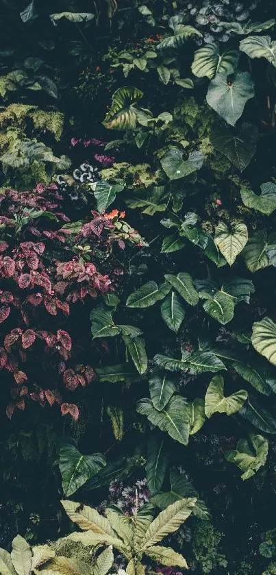 Lush wallpaper with dark green leaves and vibrant botanical elements.