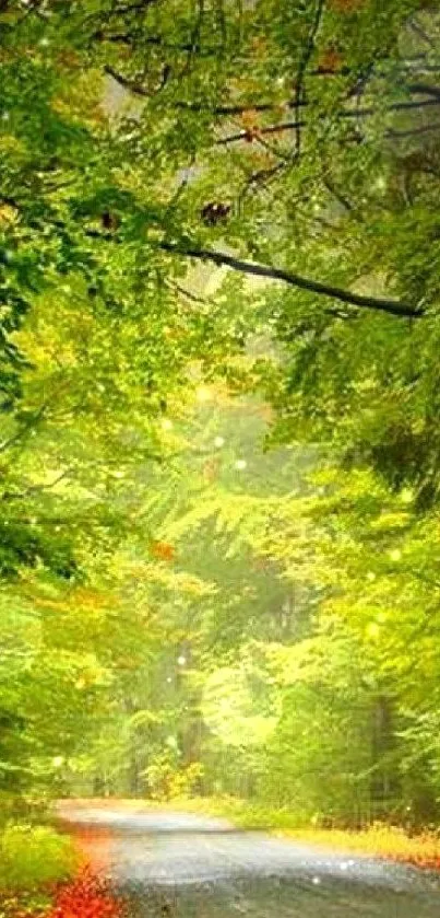 Lush green forest path wallpaper with serene ambiance.