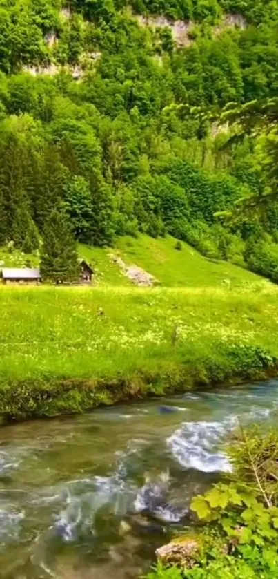 Peaceful green forest stream with rustic cottages and lush foliage.