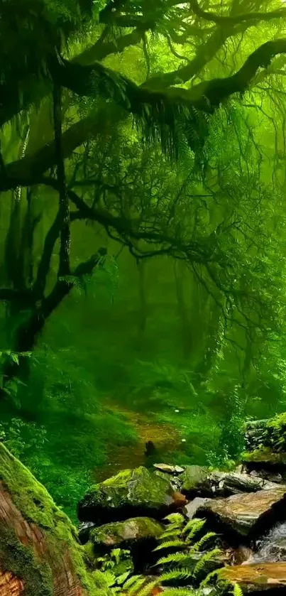 Lush green forest with a stream flowing through a tranquil landscape.