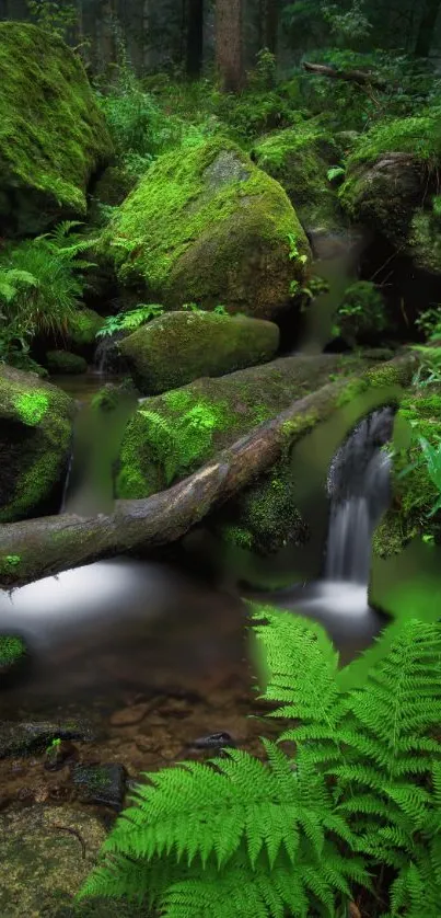 Lush green forest with waterfall and mossy rocks.