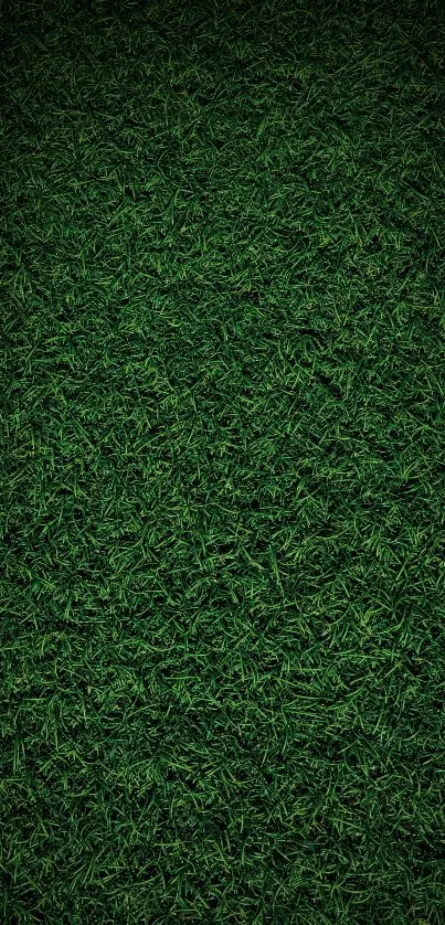 High-resolution lush green grass texture wallpaper for mobile devices.