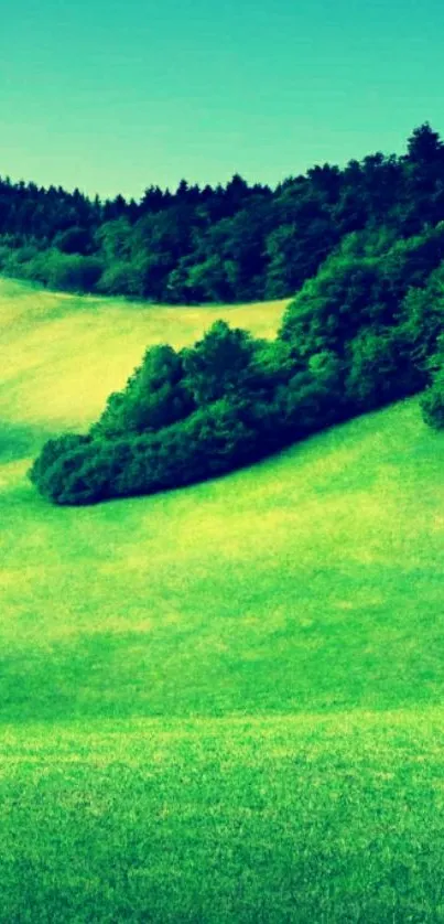 Vibrant green hills landscape mobile wallpaper.