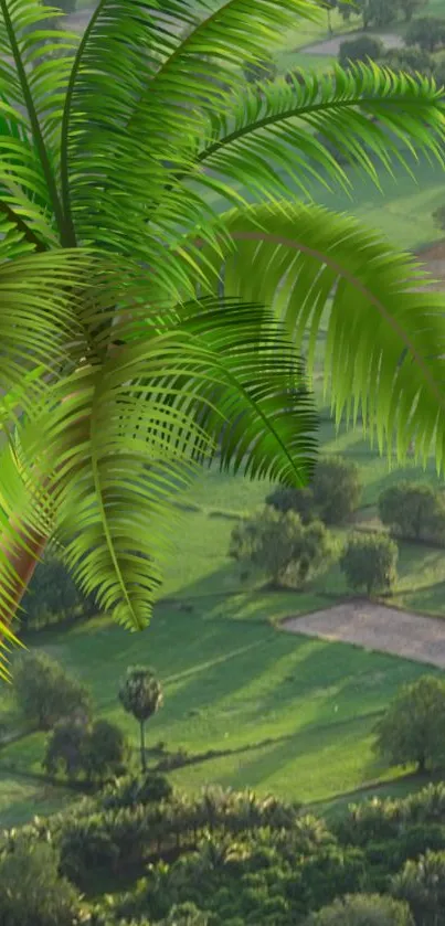 Aerial view of lush green landscape with scattered trees and fields.