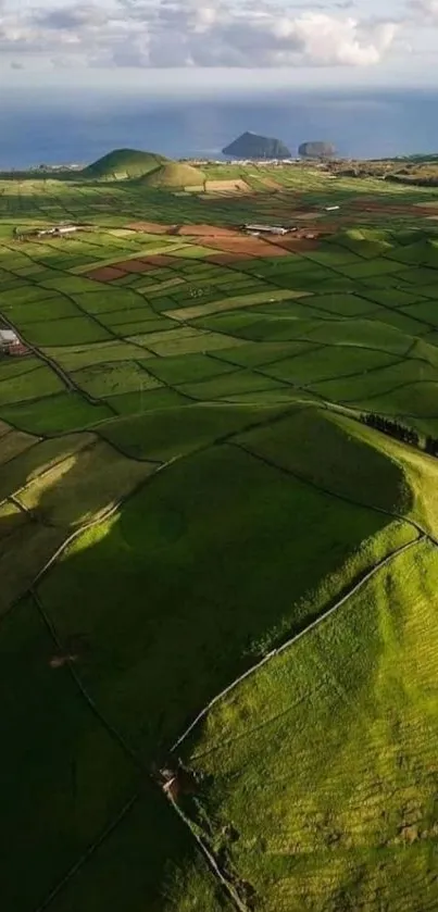 Aerial view of lush green fields and distant mountains under a cloudy sky.