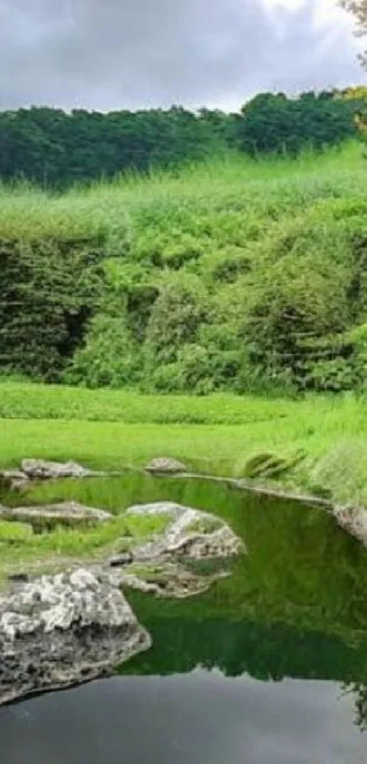 Serene landscape with lush greenery and calm river.