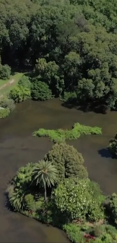 Aerial view of lush greenery surrounding a tranquil waterway.