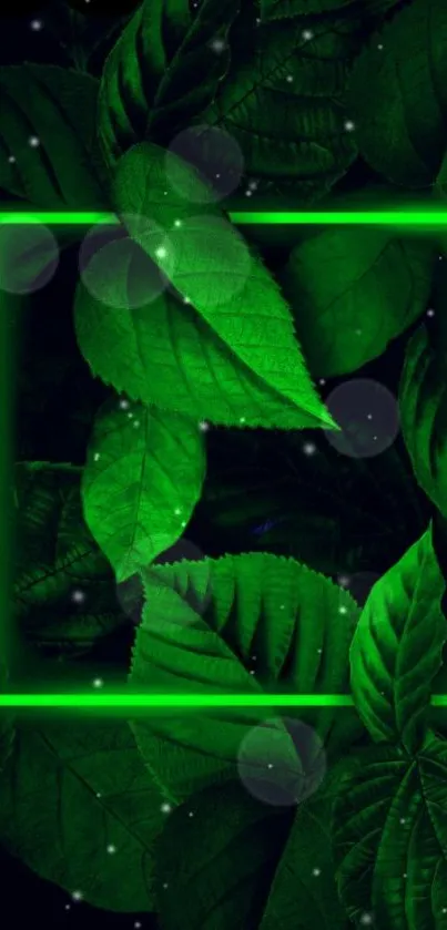 Green leaves with luminous glow, creating a vibrant phone wallpaper design.