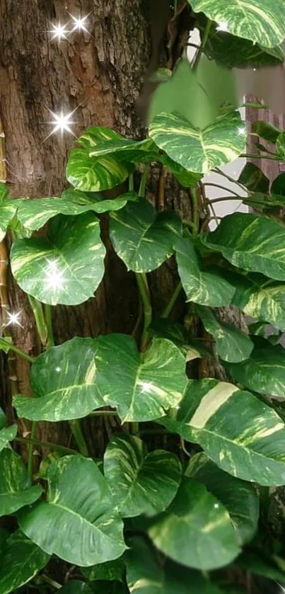 A vibrant green leaf wallpaper with sparkles against a tree trunk.