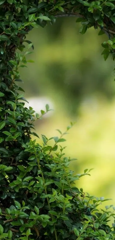 Green leafy wallpaper with natural lush pattern.