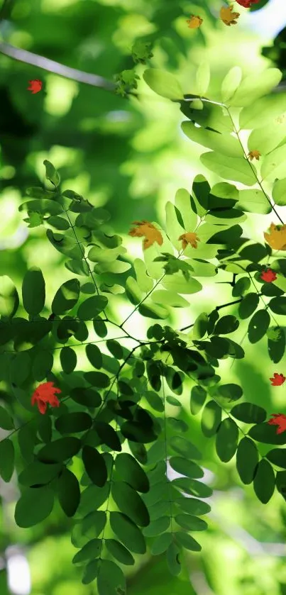Vibrant green leaves creating a lush, nature-inspired mobile wallpaper.