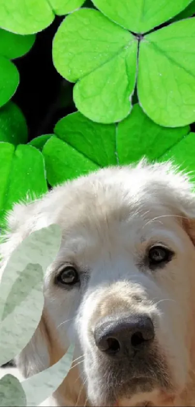 Dog with green leaves wallpaper, serene nature theme.