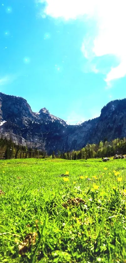 Vibrant green meadow with mountain background.