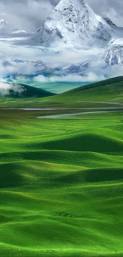 Green hills with snowy mountain in background wallpaper.