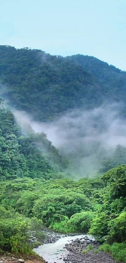 Lush green mountains with a misty valley and serene river flowing through.