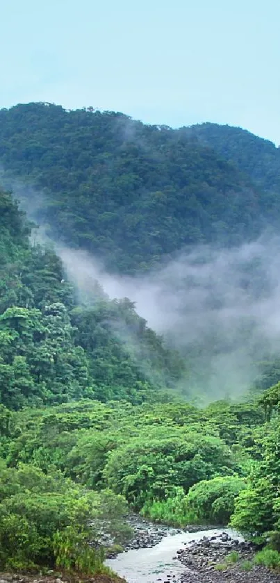 Misty mountain range with river and lush green forest in the foreground.