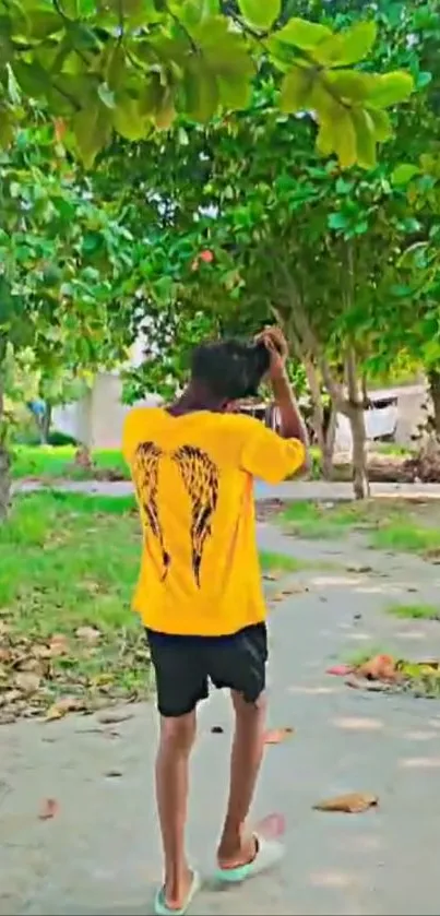 Person walking on a scenic path surrounded by lush green trees.