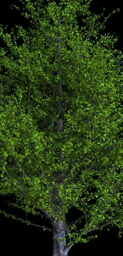 Vibrant green tree on dark background.