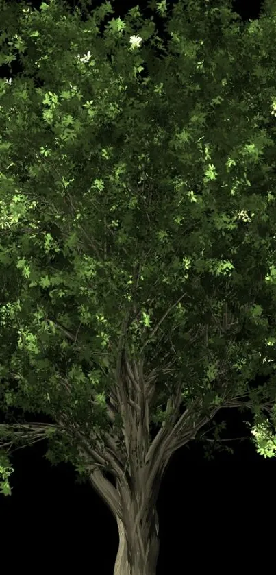 Lush green tree on a mobile wallpaper design.