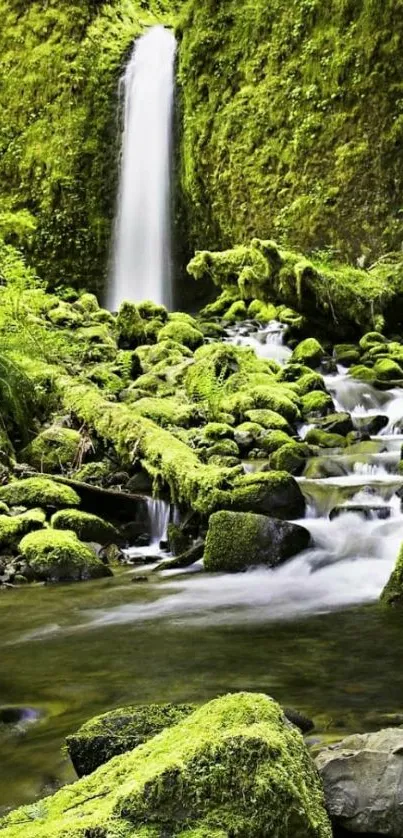 Lush green waterfall cascading in a forest setting for mobile wallpaper.