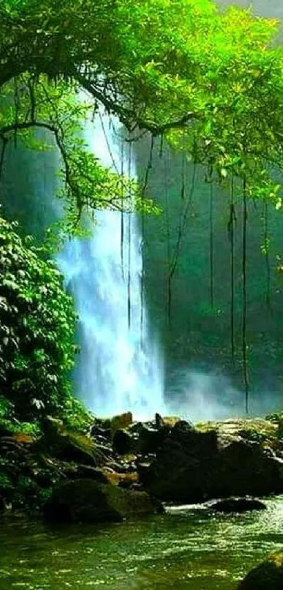 Lush green forest with a waterfall flowing into a serene stream.