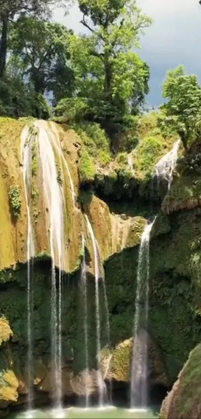 Lush green waterfall cascading down in a verdant forest setting.