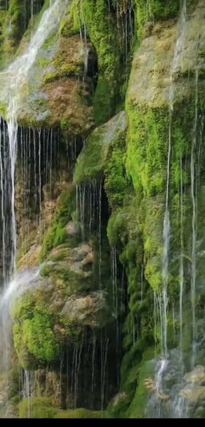 Lush green waterfall with flowing water.