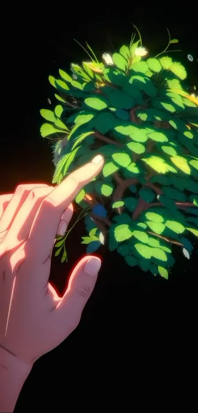 A hand touching vibrant green leaves on a dark background.